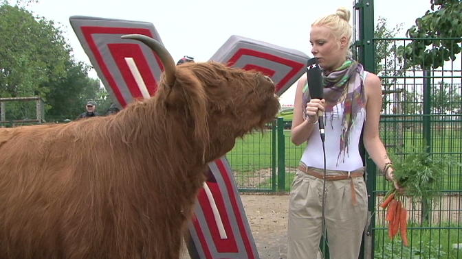 "X Factor" ist einfach tierisch! "X Factor" ist einfach tierisch!