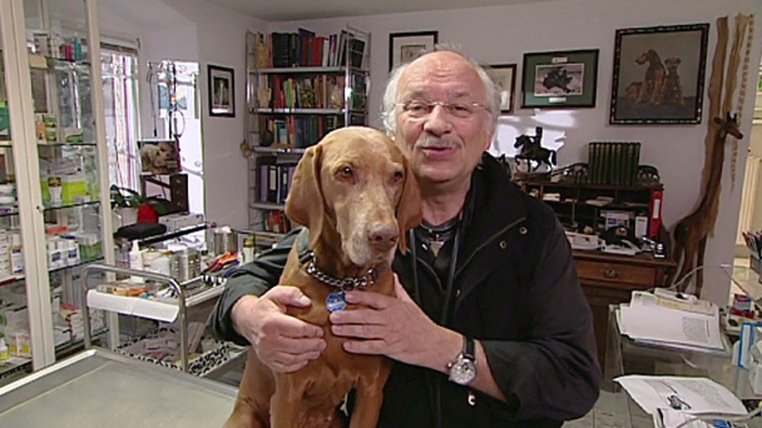 Hunde haben ein "Riech-Gedächtnis" Hunde haben ein "Riech-Gedächtnis"