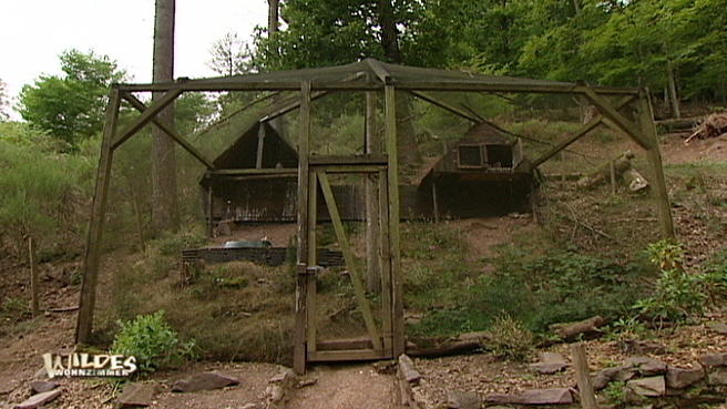 Existenzkampf im Greifvogelpark Existenzkampf im Greifvogelpark