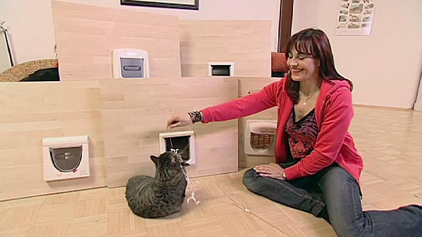 Katzenklappen im Test Katzenklappen im Test