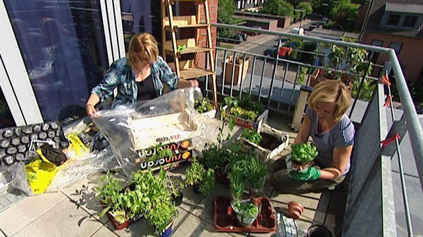Obst und Gemüse selbst anbauen Obst und Gemüse selbst anbauen