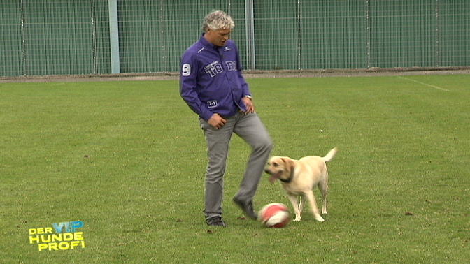 Toni, Sunna und der Ball Toni, Sunna und der Ball