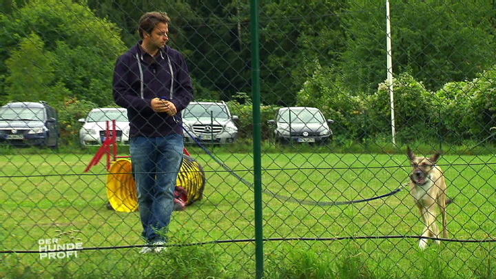 Martin Rütter hat eine traurige Nachricht! Martin Rütter hat eine traurige Nachricht!