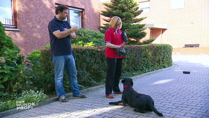Wie erfolgreich war das Training mit Stella? Wie erfolgreich war das Training mit Stella?