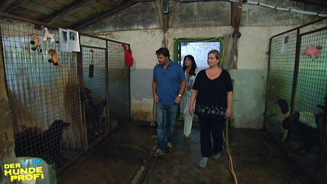 Martin Rütter und Dunja Rajter: Tierschutz-Einsatz in Kroatien Martin Rütter und Dunja Rajter: Tierschutz-Einsatz in Kroatien