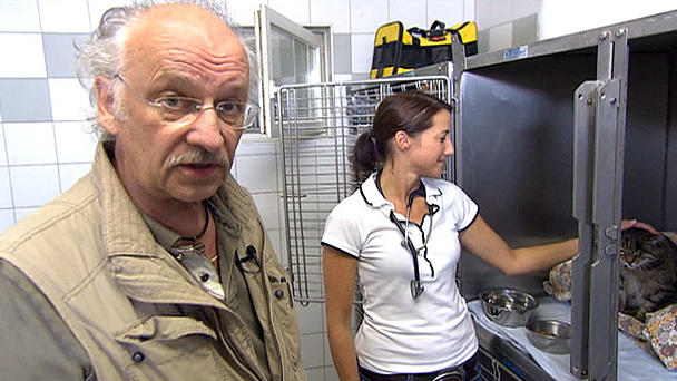 Dr. Wolf: Blinde Hündin Babs sucht ein neues Zuhause Dr. Wolf: Blinde Hündin Babs sucht ein neues Zuhause