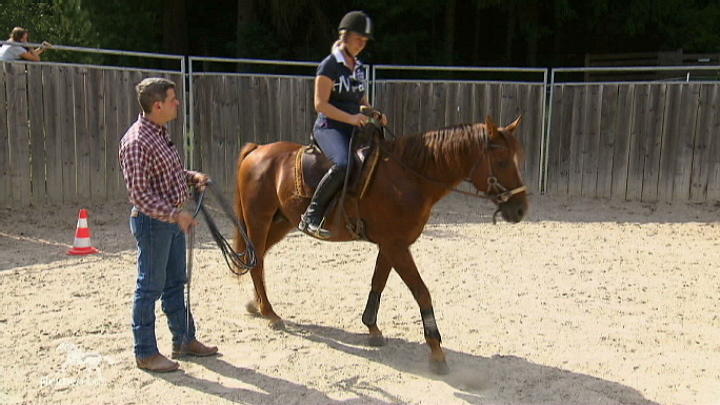 Pferdeprofi Bernd Hackl als Reitlehrer Pferdeprofi Bernd Hackl als Reitlehrer