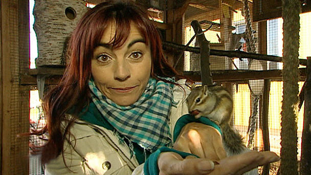 Diana Eichhorn und die Kletterkünstler Diana Eichhorn und die Kletterkünstler