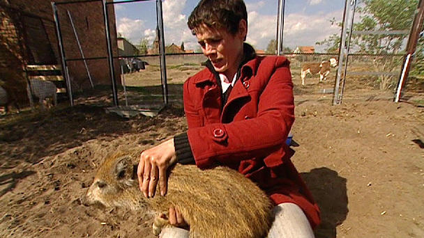 Respektlose Wildschweinbabys - Tipps von der Tiertrainerin Respektlose Wildschweinbabys - Tipps von der Tiertrainerin