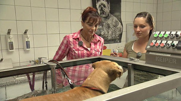 Diana Eichhorn im Tierheim Berlin Diana Eichhorn im Tierheim Berlin