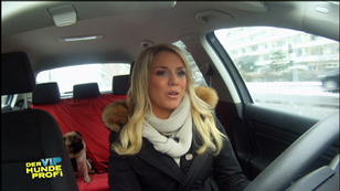Sandra Schneiders und Mops Emma: Quiek-Alarm! Sandra Schneiders und Mops Emma: Quiek-Alarm!
