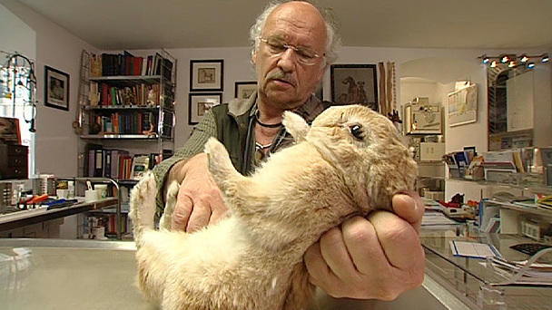 Dr. Wolfs Sprechstunde: Ein Hase mit Hoppel-Problemen Dr. Wolfs Sprechstunde: Ein Hase mit Hoppel-Problemen