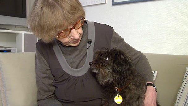 Hundevermittlung für Senioren: Das Omihunde-Netzwerk Hundevermittlung für Senioren: Das Omihunde-Netzwerk