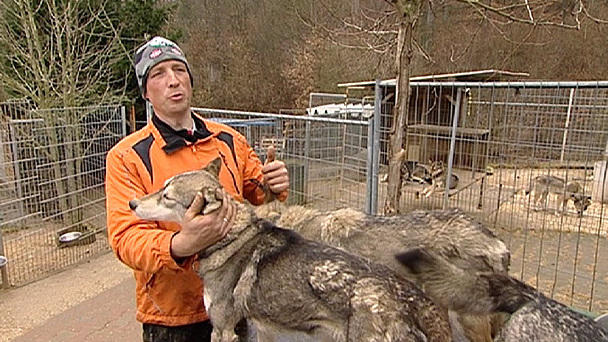 Kalte Schnauzen: Erfolg beim Testrennen Kalte Schnauzen: Erfolg beim Testrennen