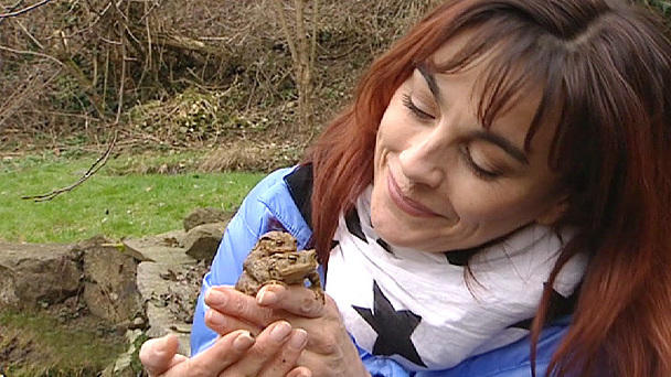 Diana Eichhorn begleitet eine Kröten-Rettungsaktion Diana Eichhorn begleitet eine Kröten-Rettungsaktion