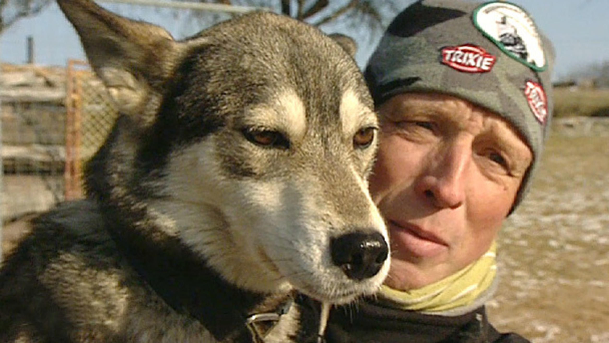 Miniserie: Kalte Schnauzen, Teil 1 Miniserie: Kalte Schnauzen, Teil 1