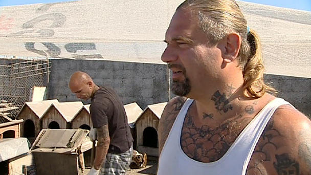 Voller Einsatz für das neue Tierheim "Casa Cainelui" Voller Einsatz für das neue Tierheim "Casa Cainelui"