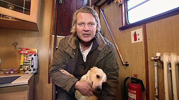 Verwaiste Frachterhunde suchen ein Zuhause Verwaiste Frachterhunde suchen ein Zuhause