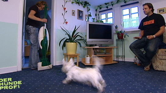 Das Training mit Charly Das Training mit Charly