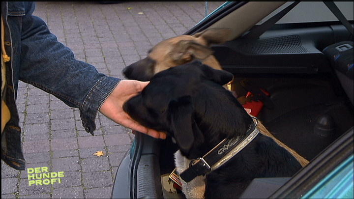 Das Training mit Kiara und Leyla Das Training mit Kiara und Leyla