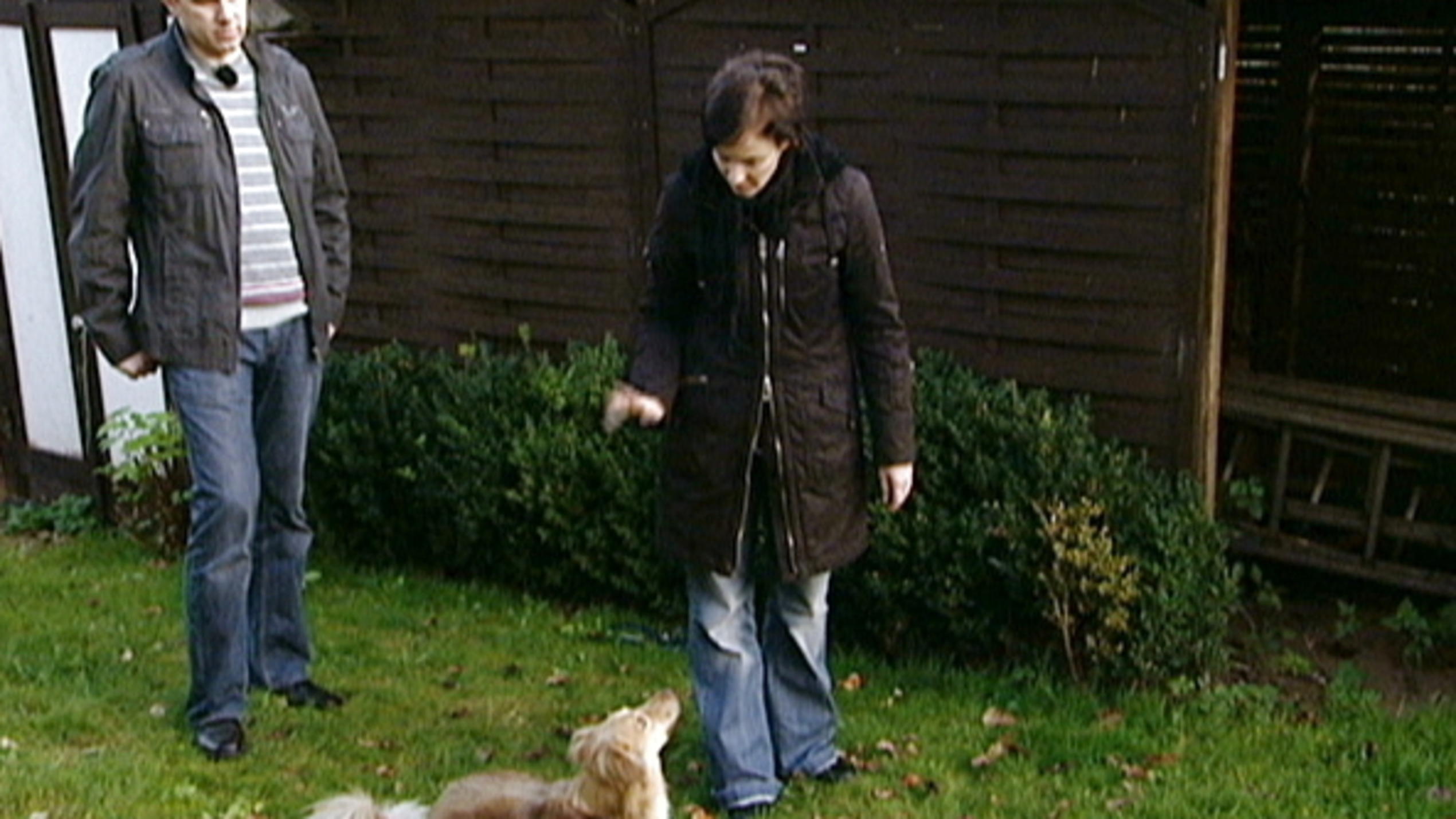 Apportiertraining mit Lupesch Apportiertraining mit Lupesch