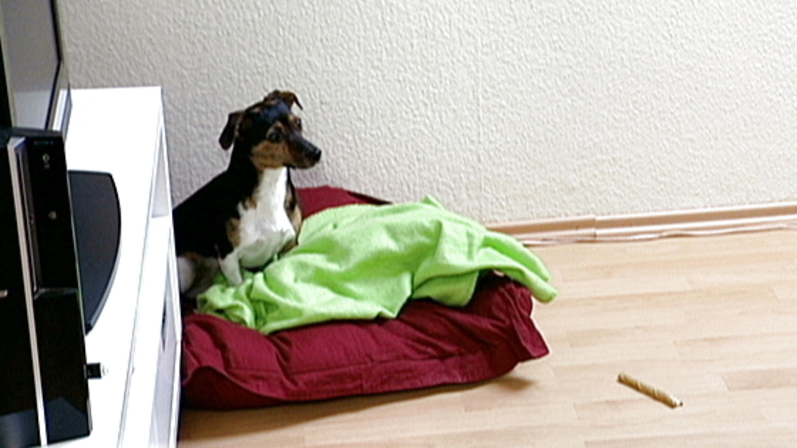 Hera verliert ihr aggressives Verhalten Hera verliert ihr aggressives Verhalten