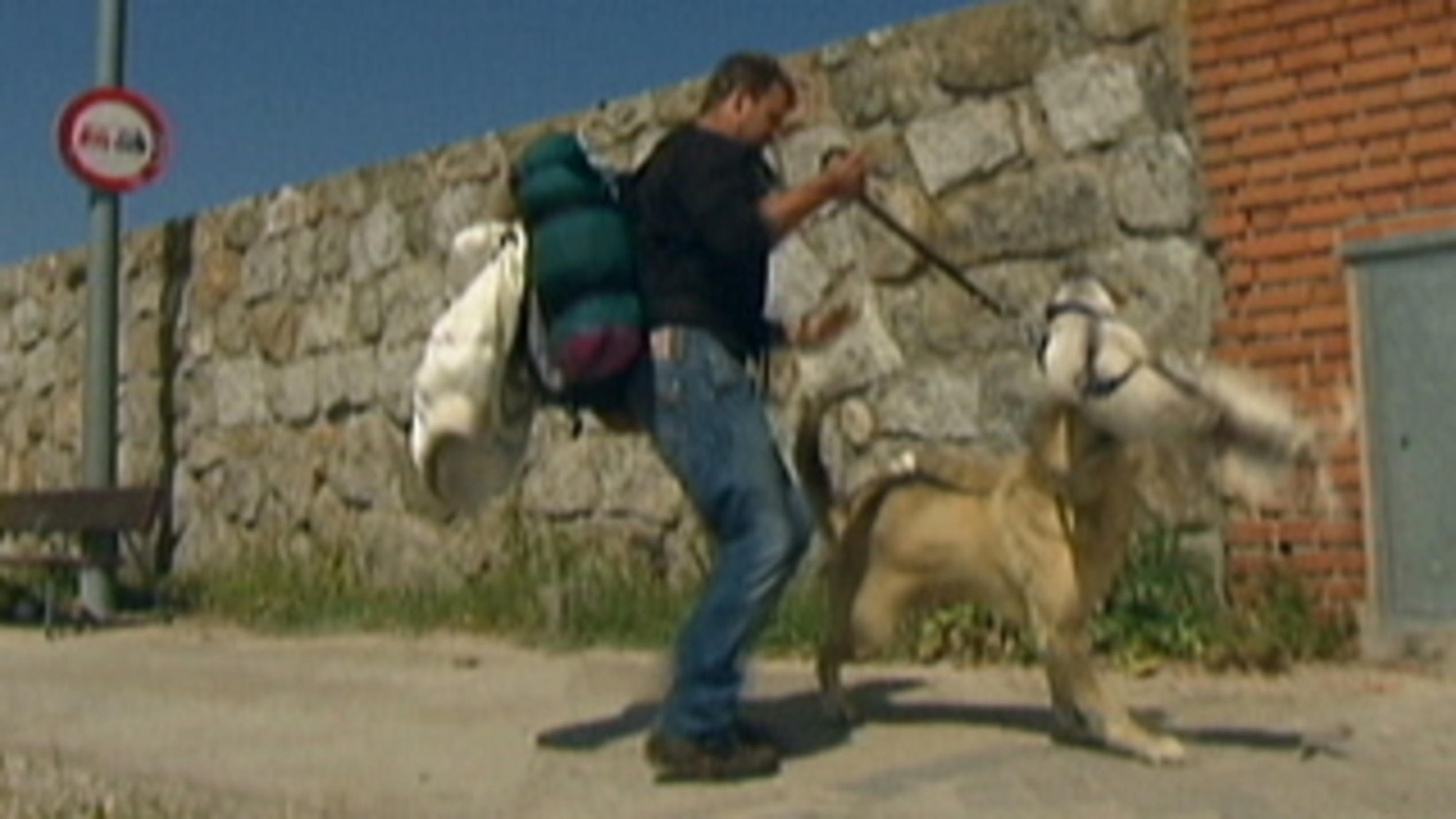 Robert Wahlers Hund gerät in große Gefahr Robert Wahlers Hund gerät in große Gefahr