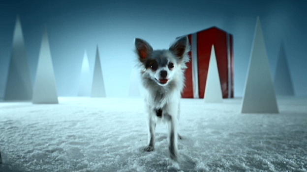 Weihnachten mit Martin Rütter: Großes Paket für kleinen Hund Weihnachten mit Martin Rütter: Großes Paket für kleinen Hund