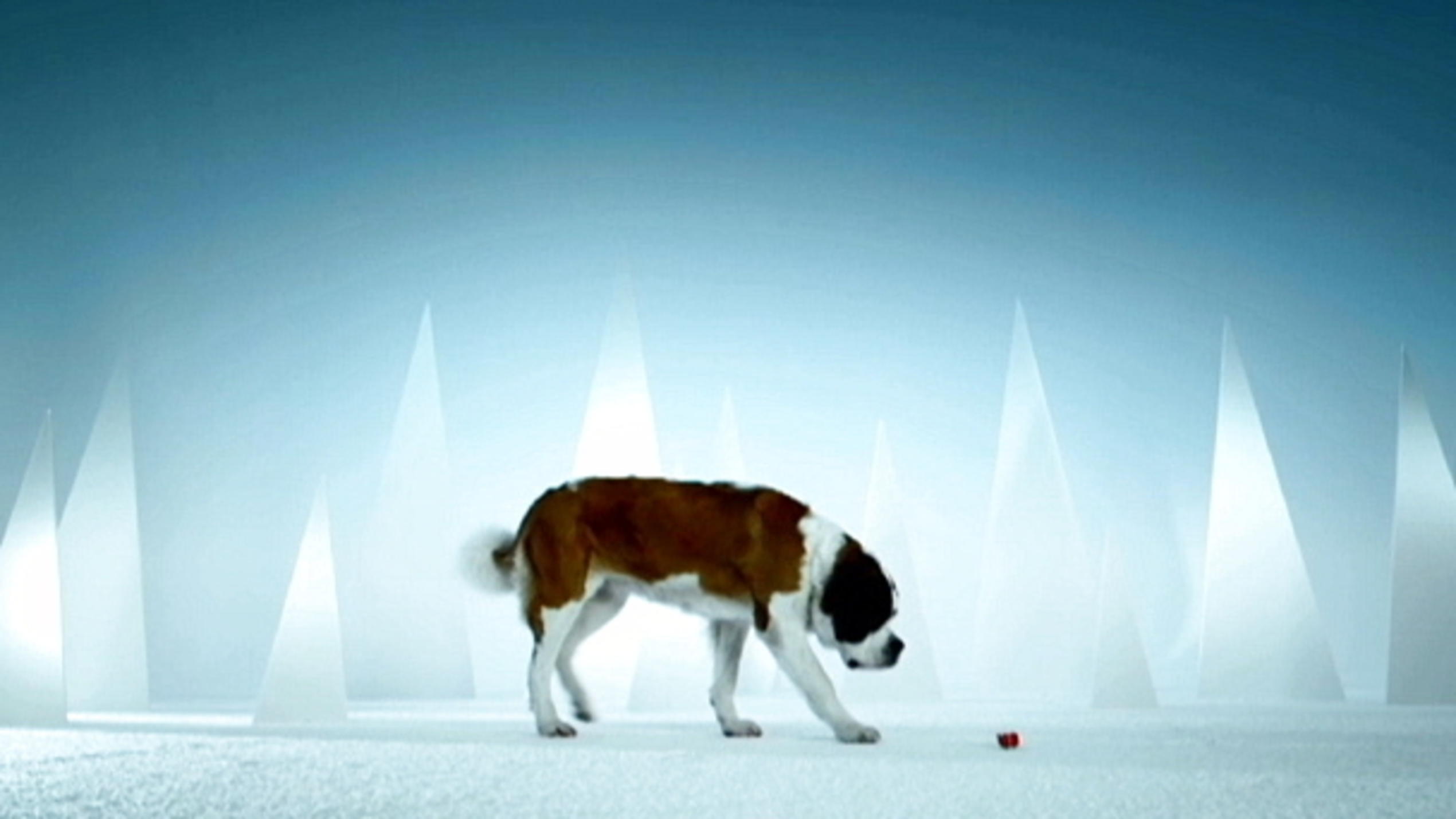 Weihnachten mit Martin Rütter: Kleines Paket für großen Hund Weihnachten mit Martin Rütter: Kleines Paket für großen Hund