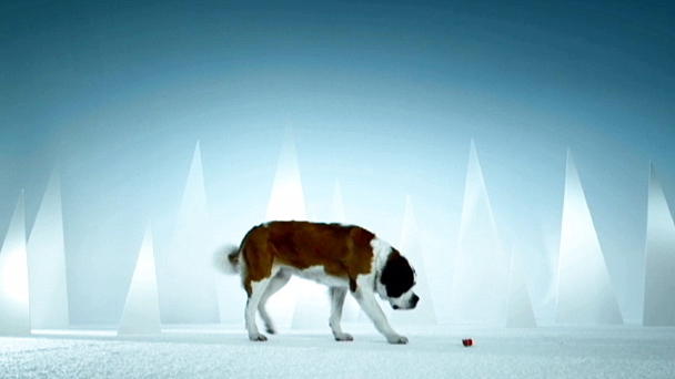 Weihnachten mit Martin Rütter: Kleines Paket für großen Hund Weihnachten mit Martin Rütter: Kleines Paket für großen Hund