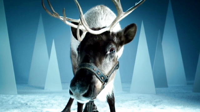 Weihnachten mit Martin Rütter: Hol' es, Rentier! Weihnachten mit Martin Rütter: Hol' es, Rentier!