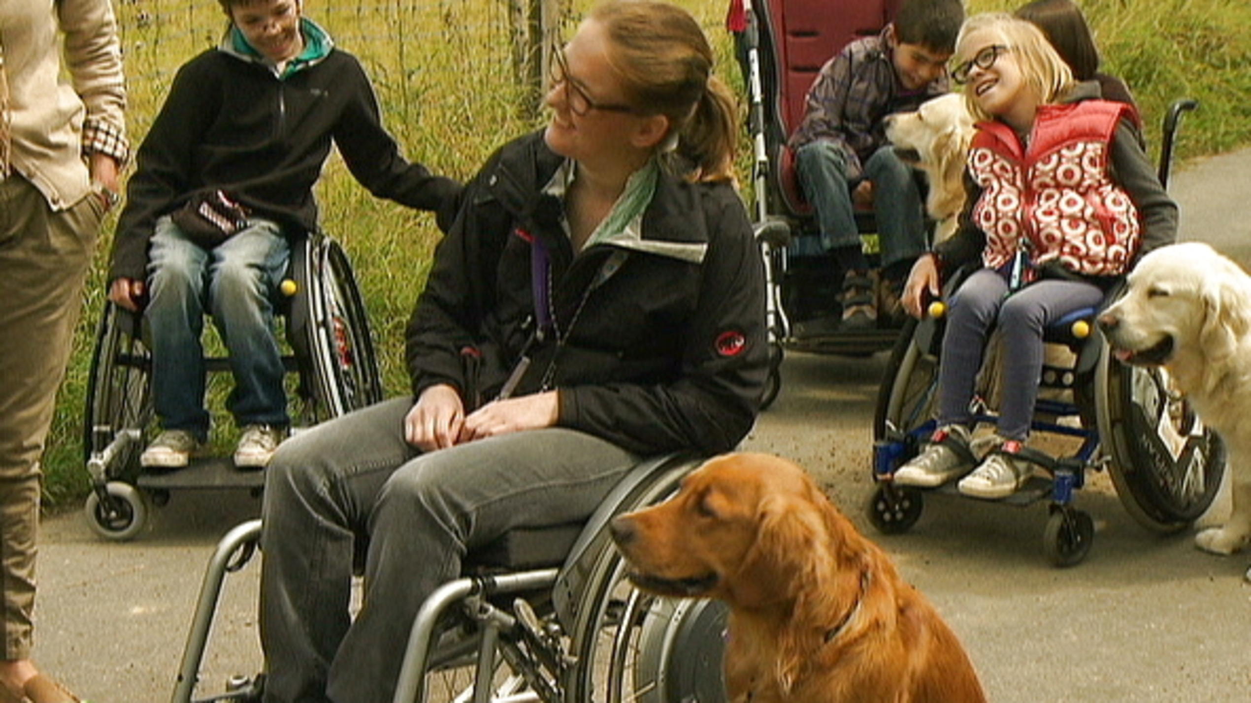 Vita Assistenzhunde Vita Assistenzhunde