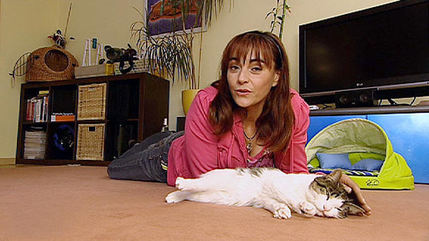 Katze Sari lebt mit einer Ataxie Katze Sari lebt mit einer Ataxie