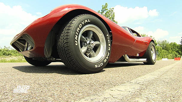Cheeta Coupé - schnell wie eine Raubkatze Cheeta Coupé - schnell wie eine Raubkatze