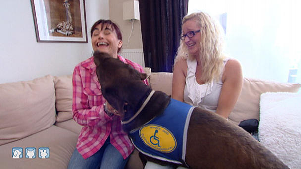 Elmo, der Diabetiker-Warnhund Elmo, der Diabetiker-Warnhund