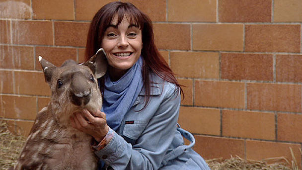Diana Eichhorn besucht Tapirbaby Luara Diana Eichhorn besucht Tapirbaby Luara