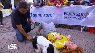 Martin Rütter kommt zum "Ladies Run" Martin Rütter kommt zum "Ladies Run"