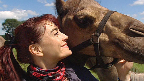 Diana Eichhorn zu Besuch in der Kamelmolkerei Diana Eichhorn zu Besuch in der Kamelmolkerei