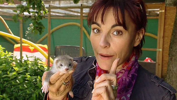 Diana Eichhorn und die Frettchen-Bande Diana Eichhorn und die Frettchen-Bande