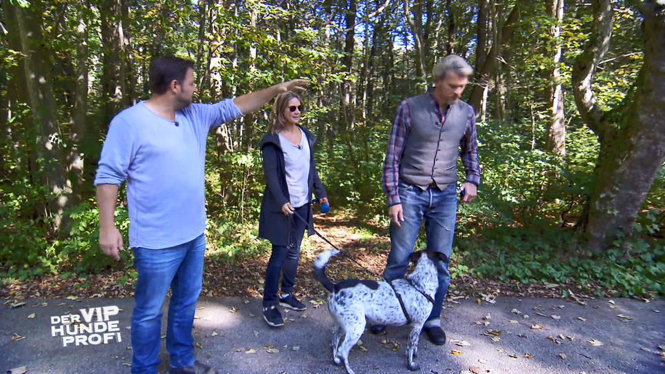 Für Götz Otto und Hündin Lotte wird es ernst Für Götz Otto und Hündin Lotte wird es ernst