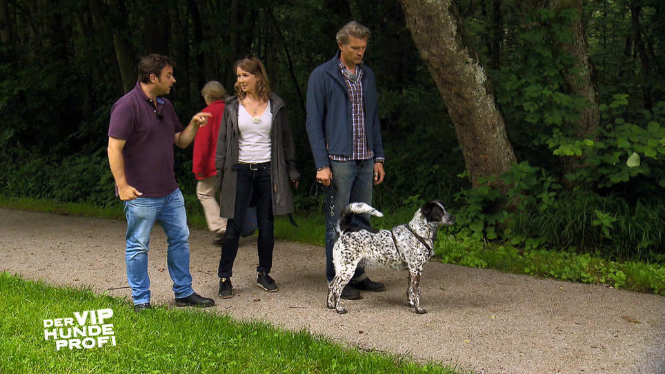 Prominente Hundehalter brauchen dringend Hilfe Prominente Hundehalter brauchen dringend Hilfe