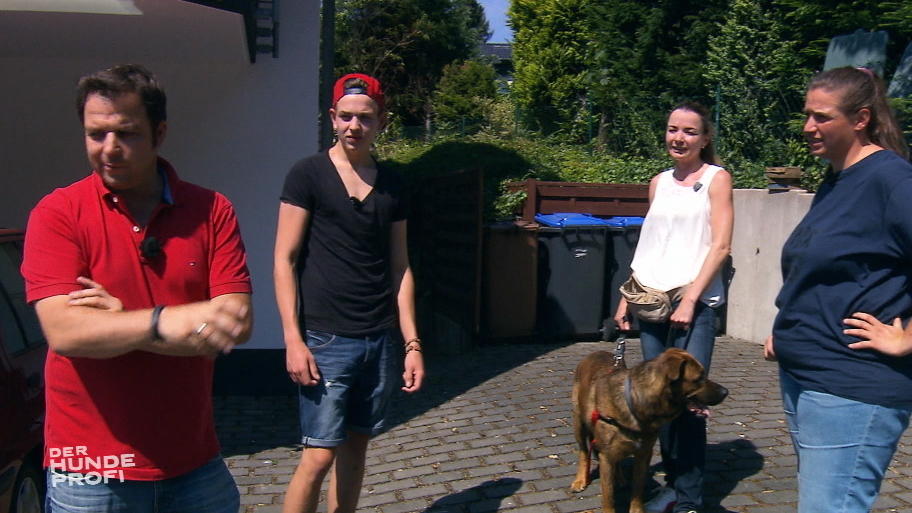 Martin Rütter ist noch nicht zufrieden mit Aiko Martin Rütter ist noch nicht zufrieden mit Aiko