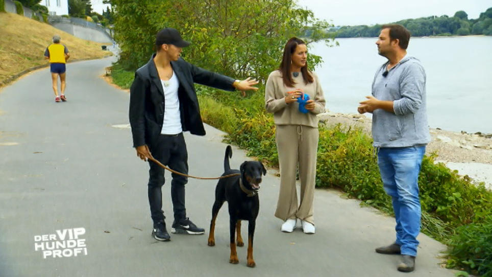 Der Hundeprofi ist zufrieden mit dem Trainingsstand Der Hundeprofi ist zufrieden mit dem Trainingsstand