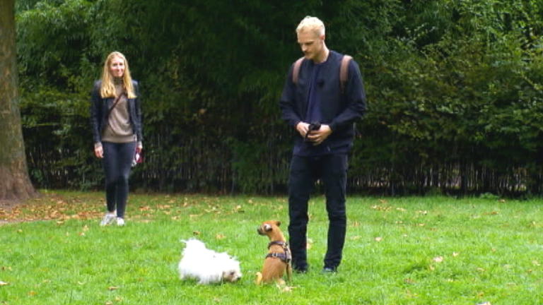 Härtetest für Pinscher Enzo Härtetest für Pinscher Enzo