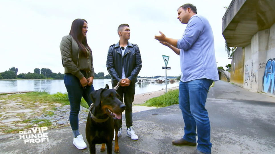 Martin Rütter gibt Joey und Justine Trainingstipps Martin Rütter gibt Joey und Justine Trainingstipps