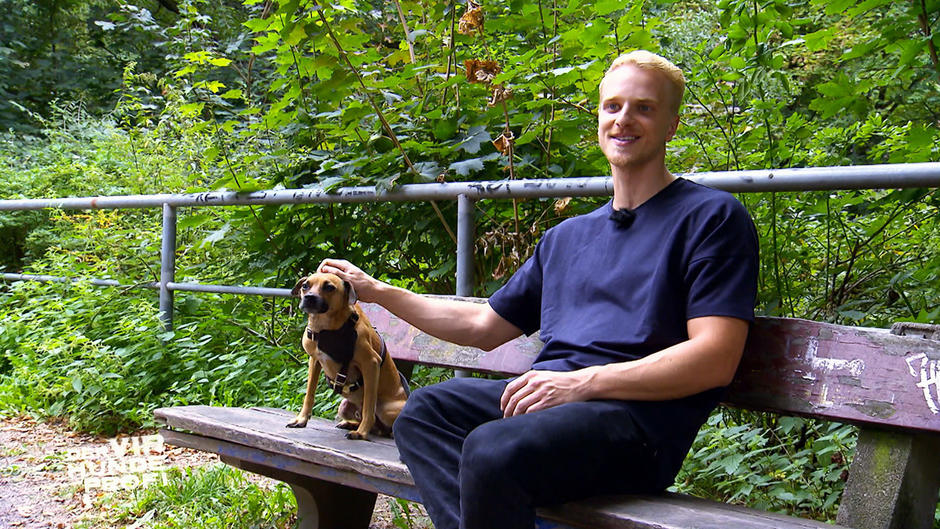 Rüde Enzo dreht im Park richtig auf Rüde Enzo dreht im Park richtig auf