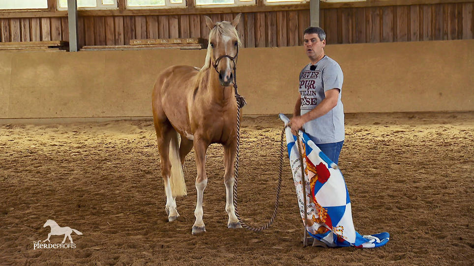 Kann das buckelnde Pony Otto Vertrauen fassen? Kann das buckelnde Pony Otto Vertrauen fassen?