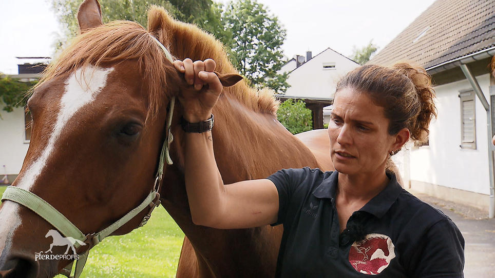 Therapeutin Claudia drückt Reset-Knöpfe bei Pegasus Therapeutin Claudia drückt Reset-Knöpfe bei Pegasus