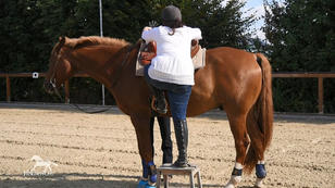 Für Stangenphobiker Pegasus heißt es: Abschlusstraining! Für Stangenphobiker Pegasus heißt es: Abschlusstraining!