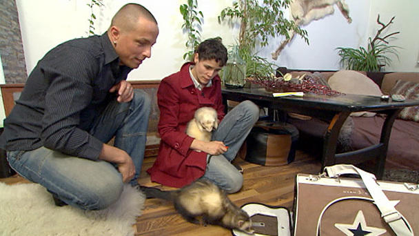 Apportier-Training mit Pinguinen Apportier-Training mit Pinguinen